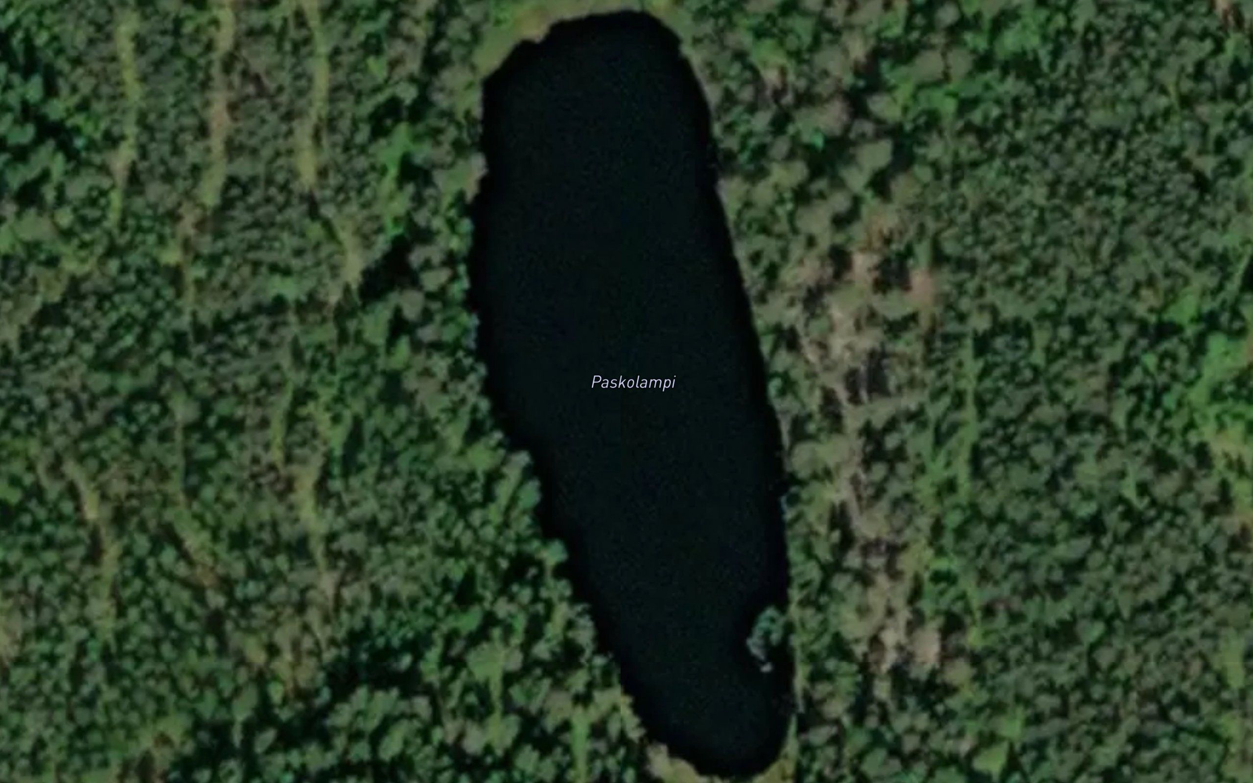 Paskolampi