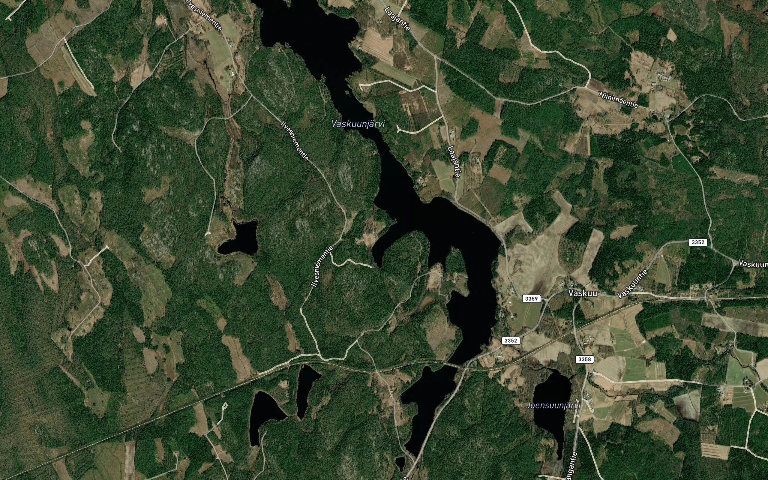 Pitkalahti