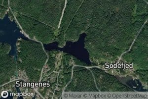 Stangenestjorna