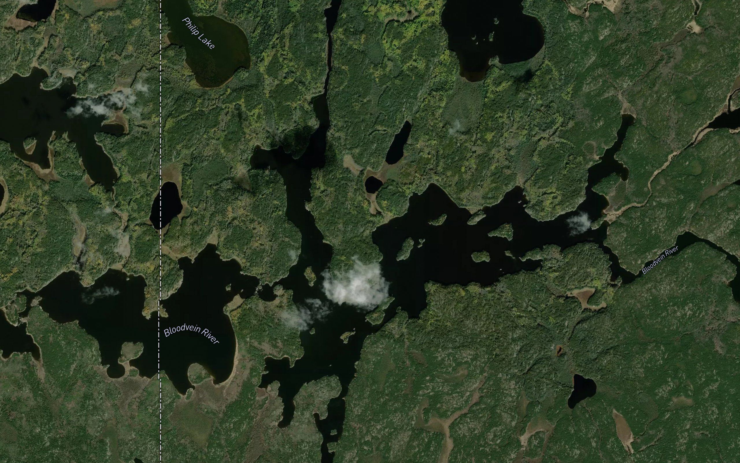 Artery Lake