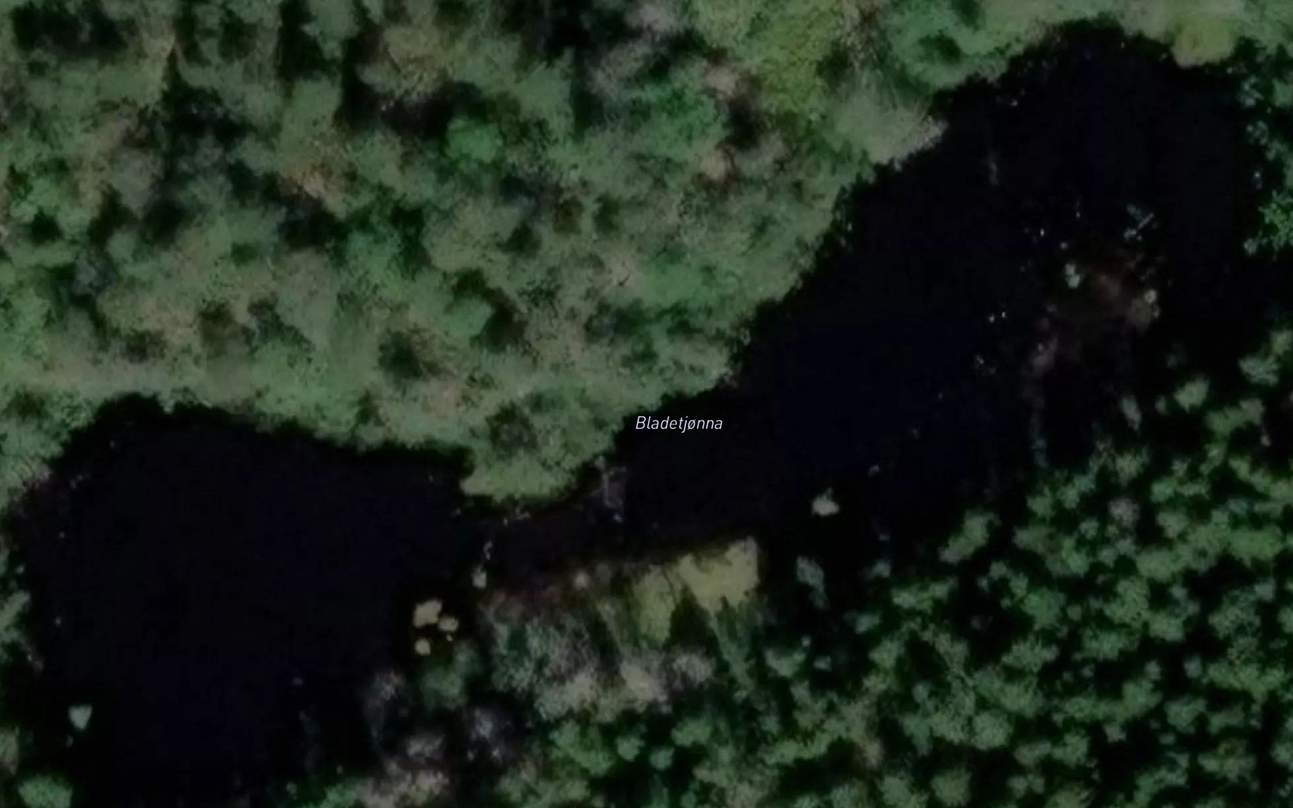 Bladetjonna