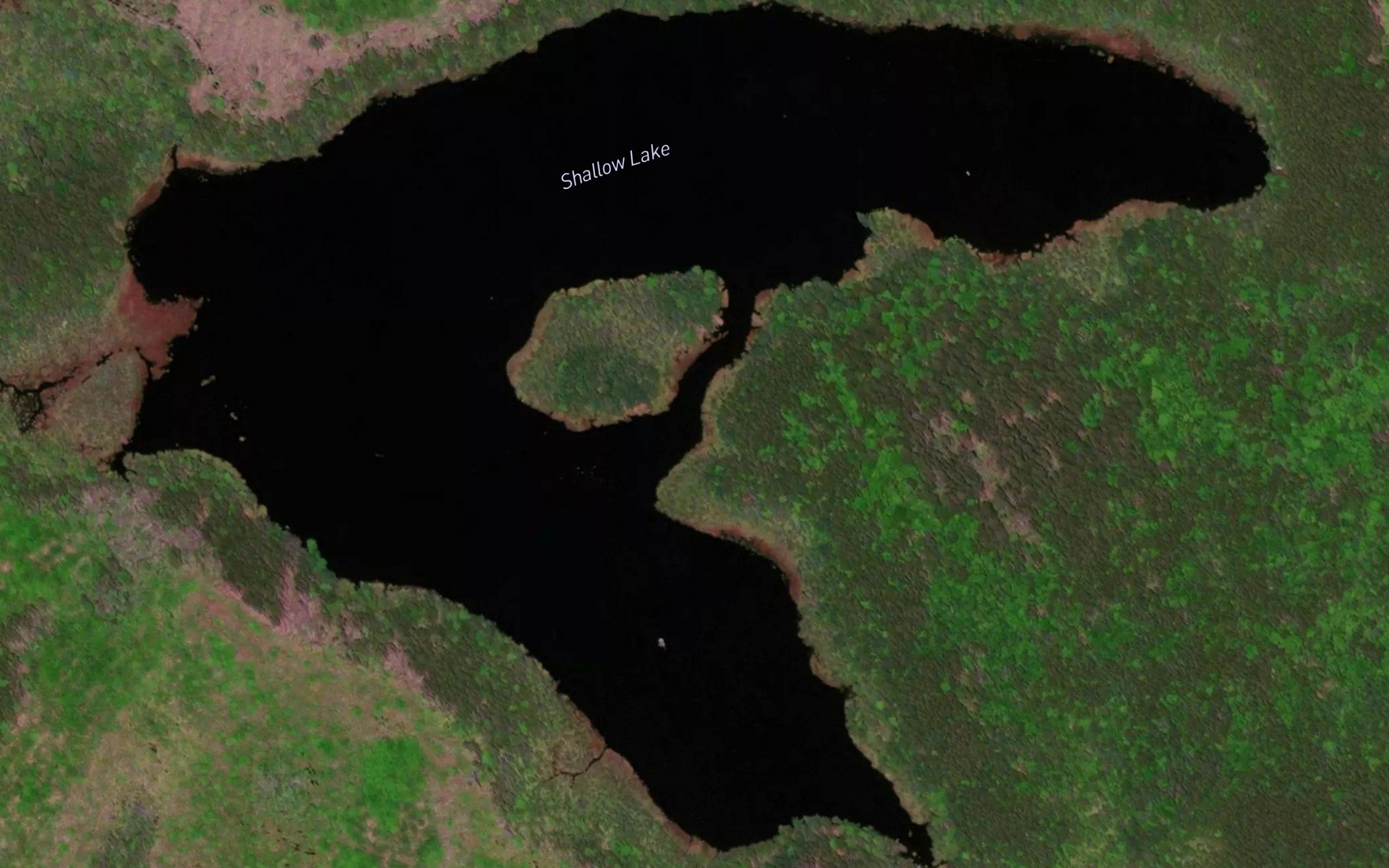 Shallow Lake