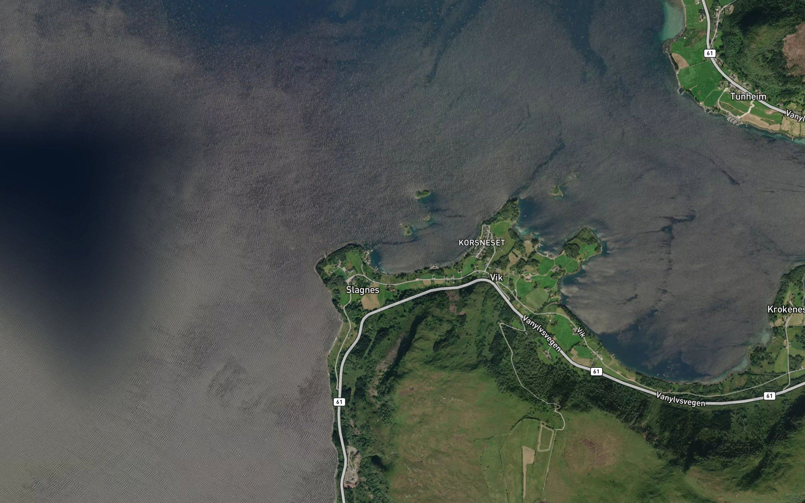 Slagnesvika