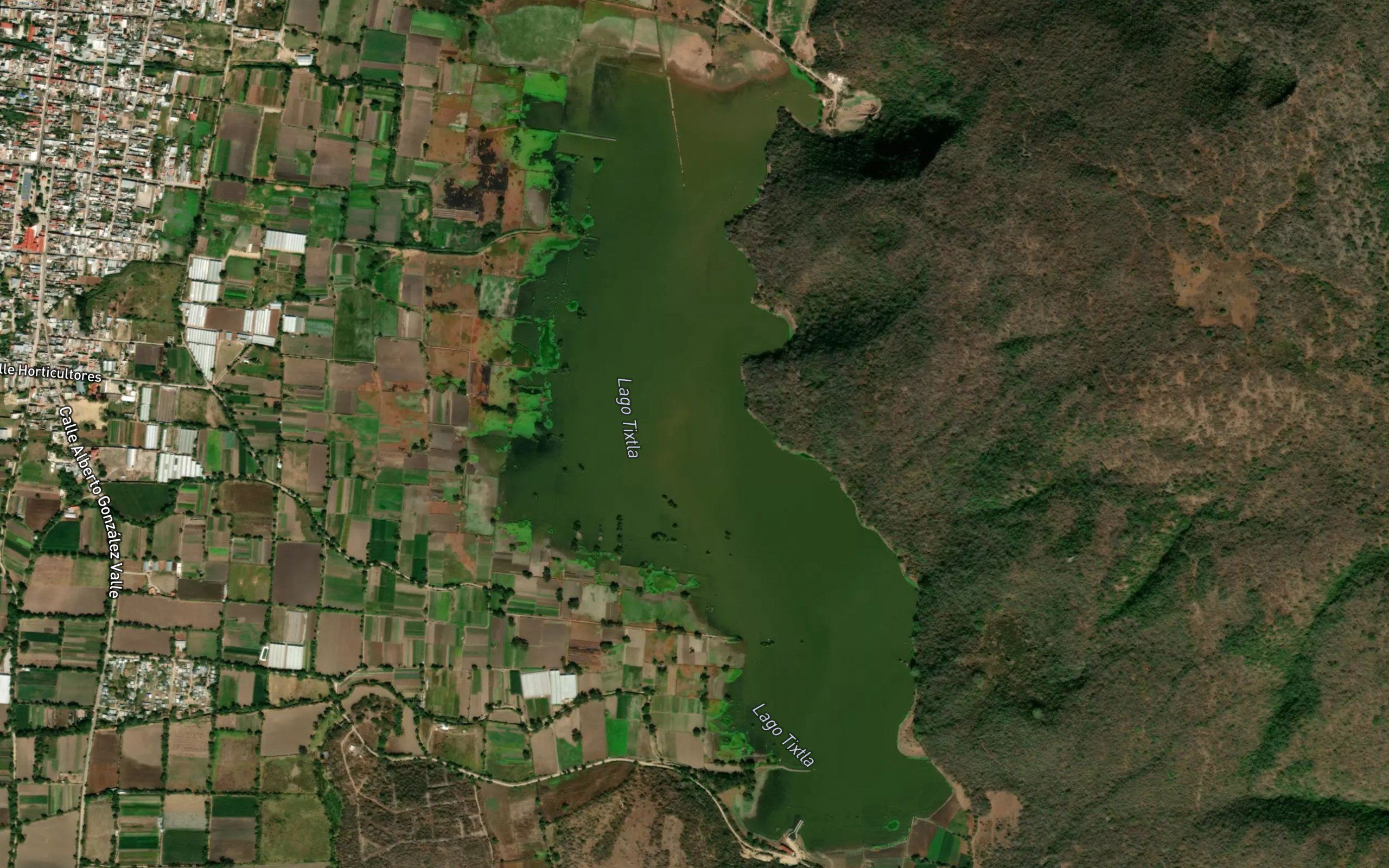 Laguna de Tixtla
