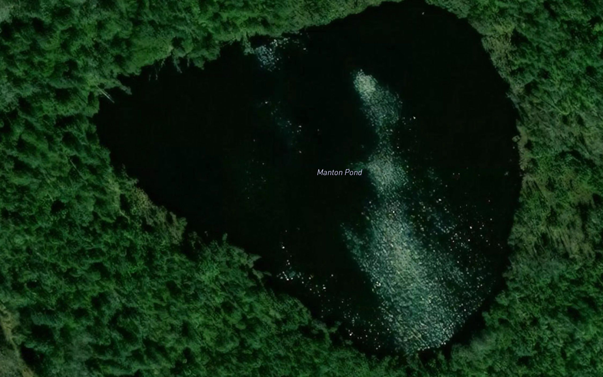 Manton Pond