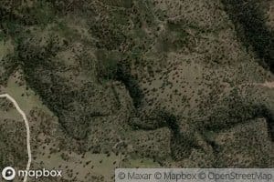 Wild Dog Creek