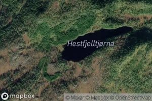 Skjerakelitjorna