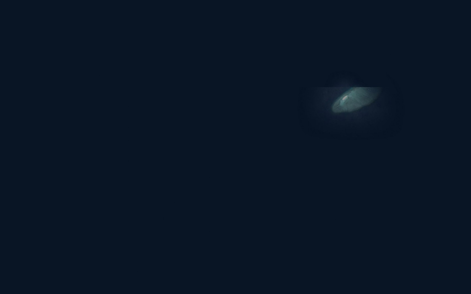 Satellite map of the Littles Reef