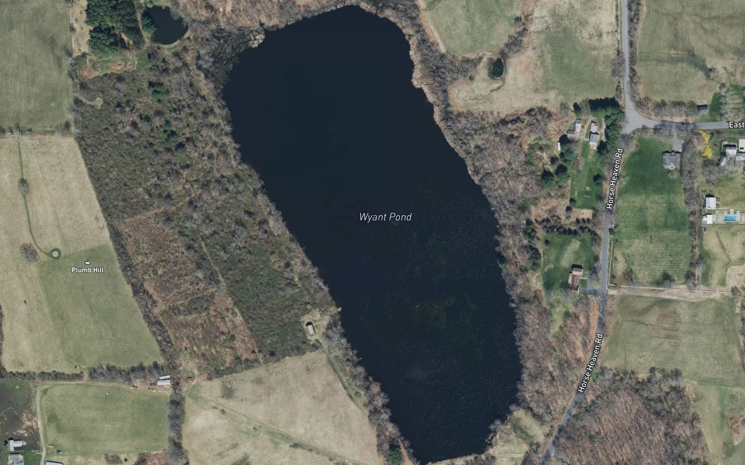 Wyant Pond