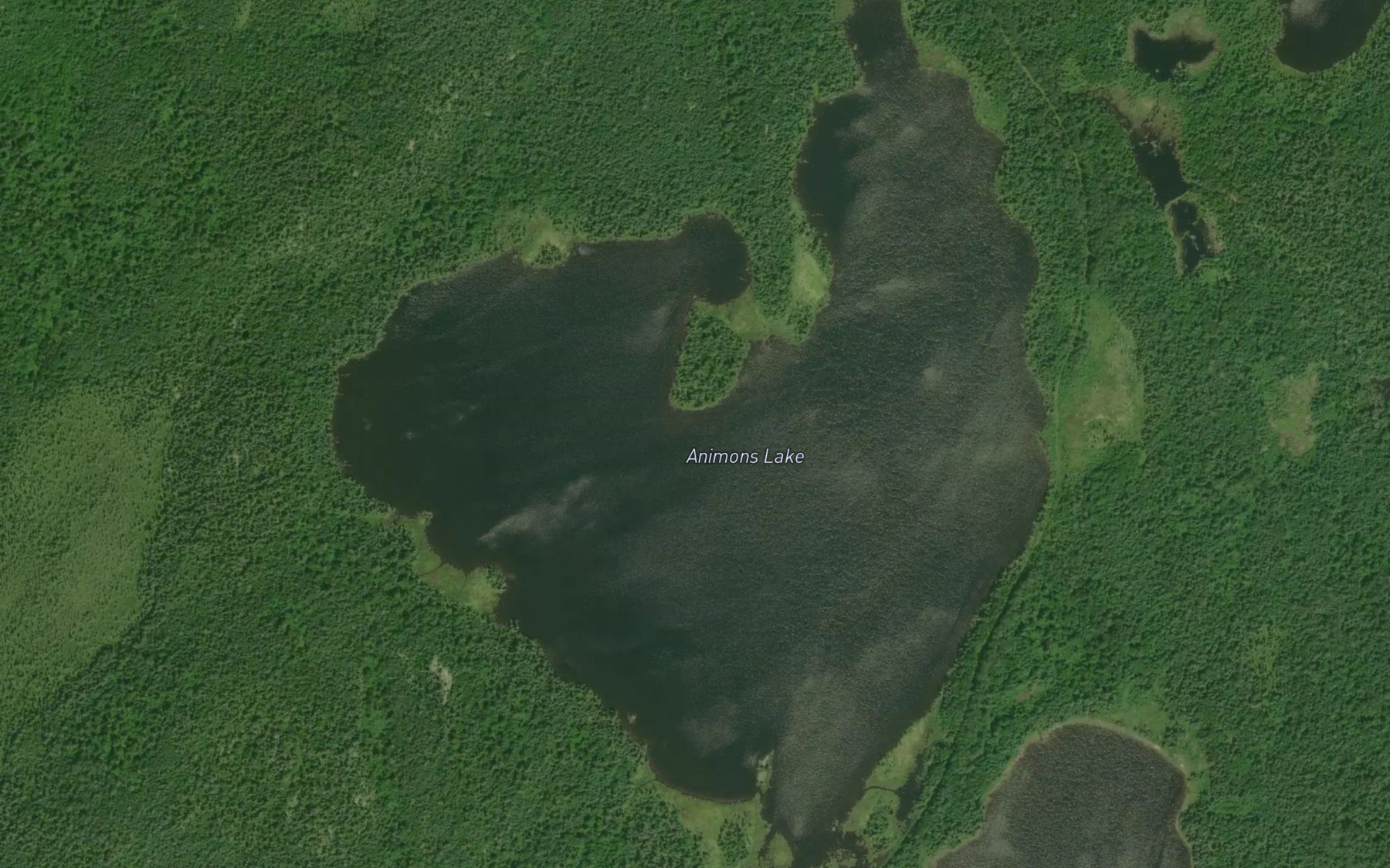 Satellite map of the Animons Lake