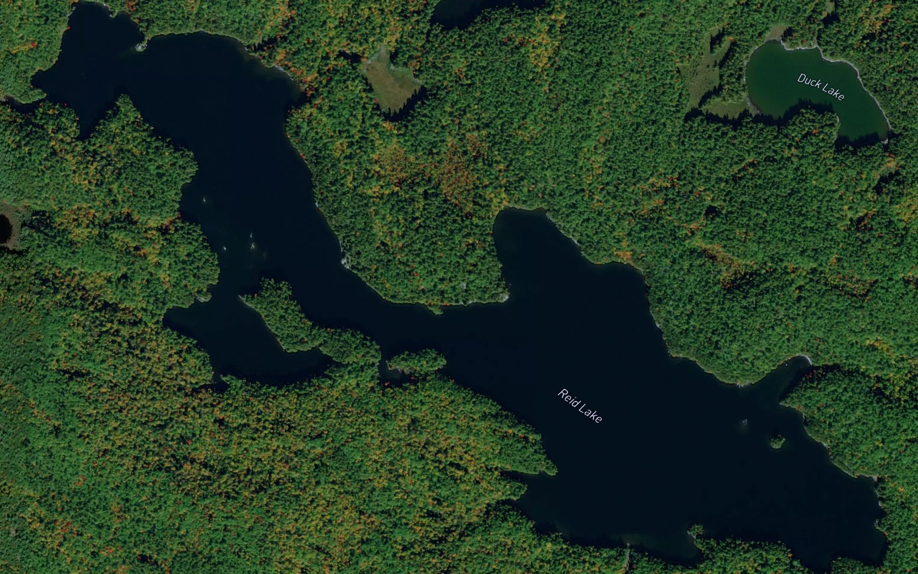 Satellite map of the Reid Lake