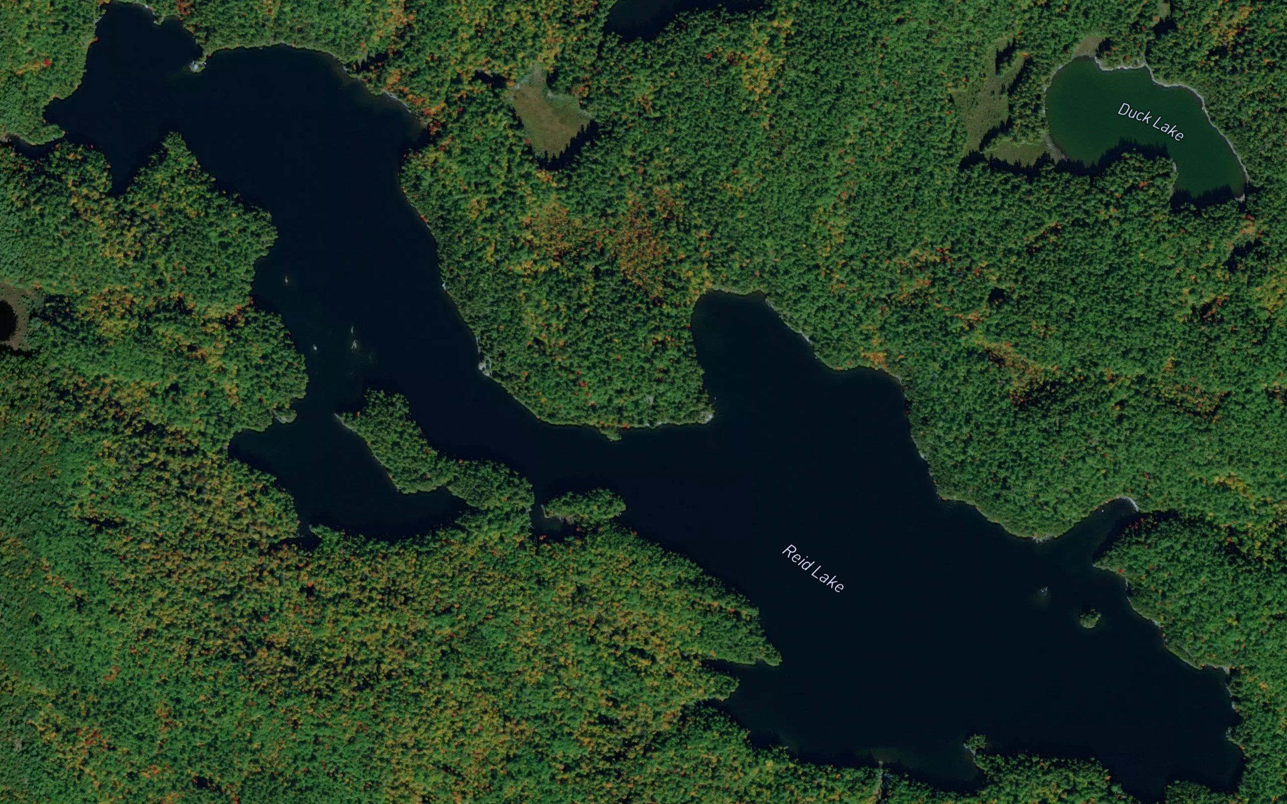 Reid Lake