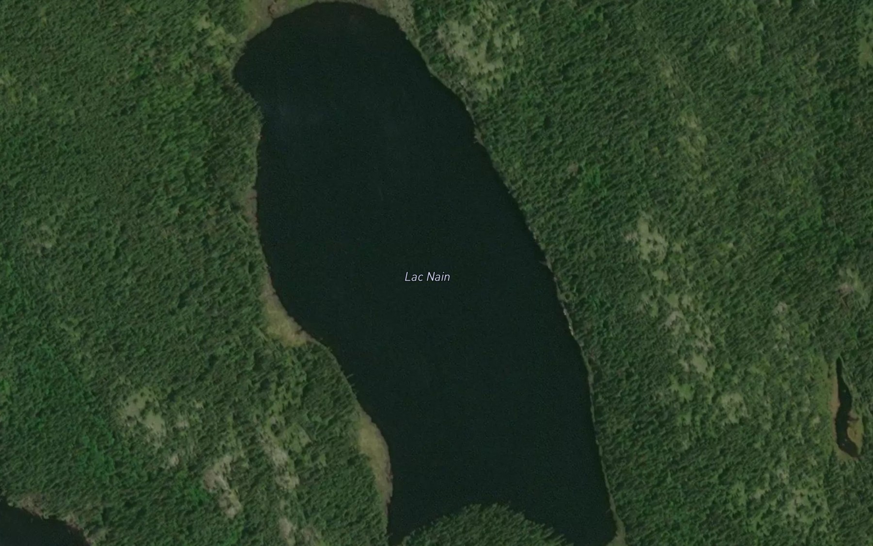 Satellite map of the Lac Nain