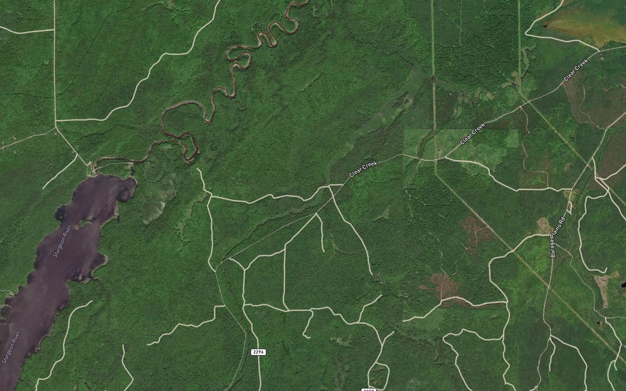 Mustard Creek