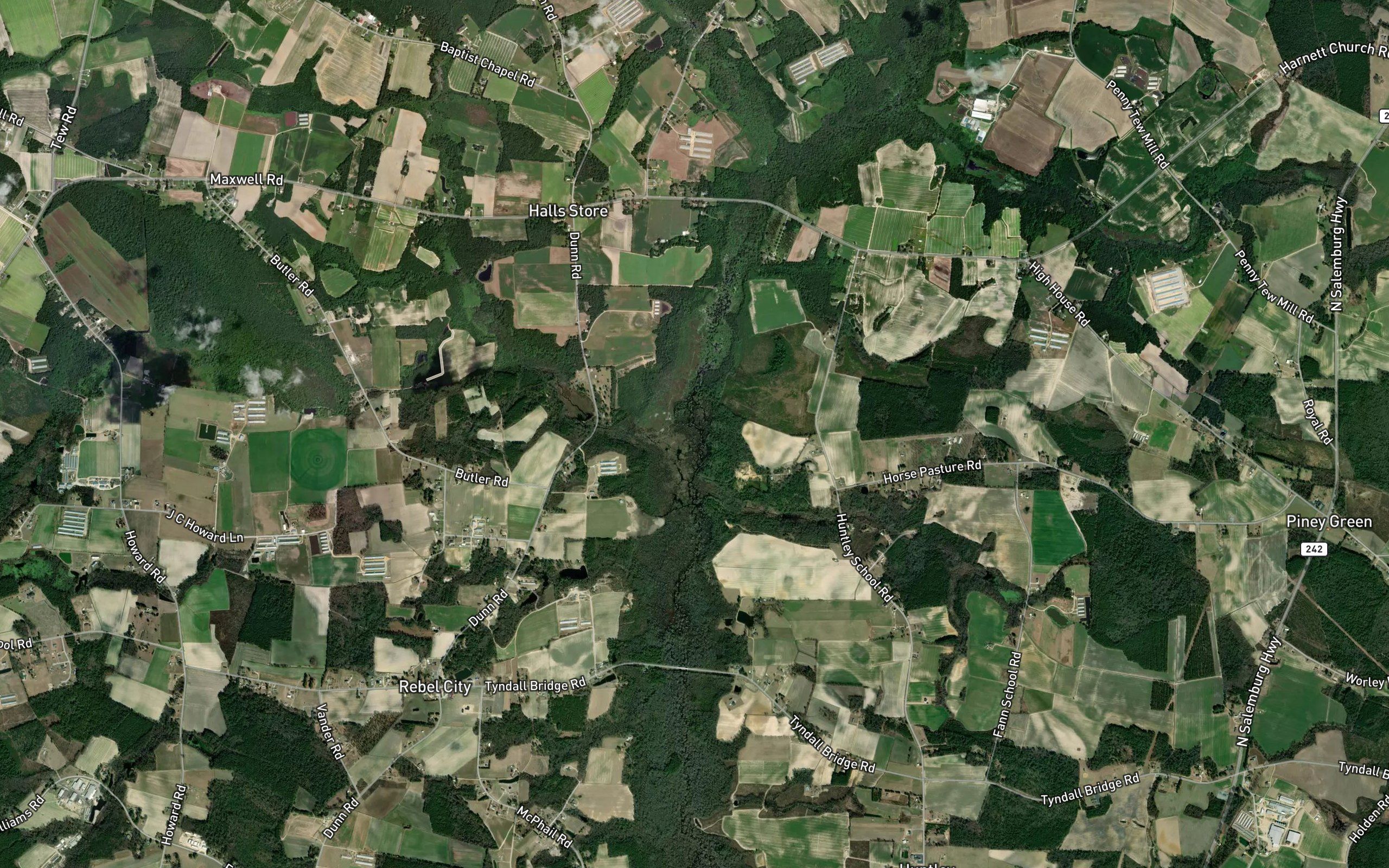 Bryant Swamp