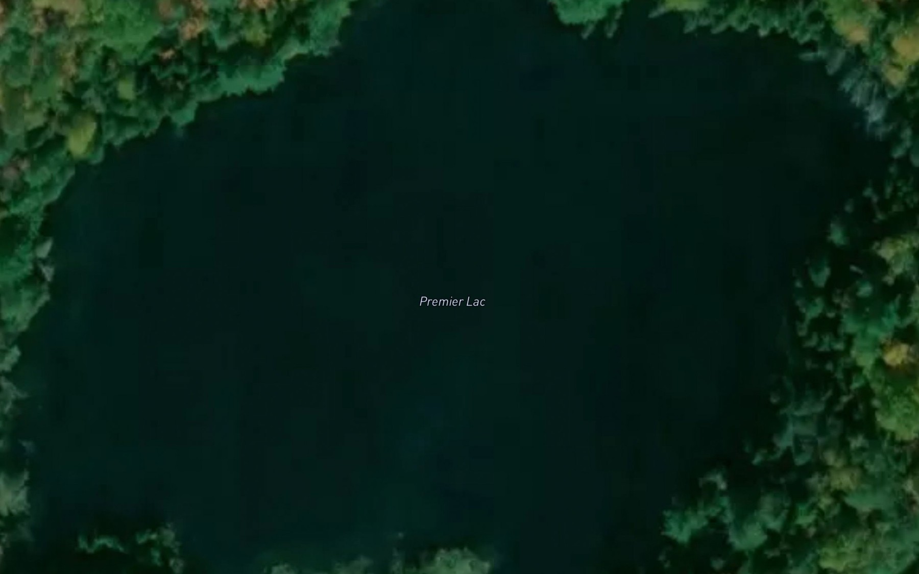 Satellite map of the Premier Lac