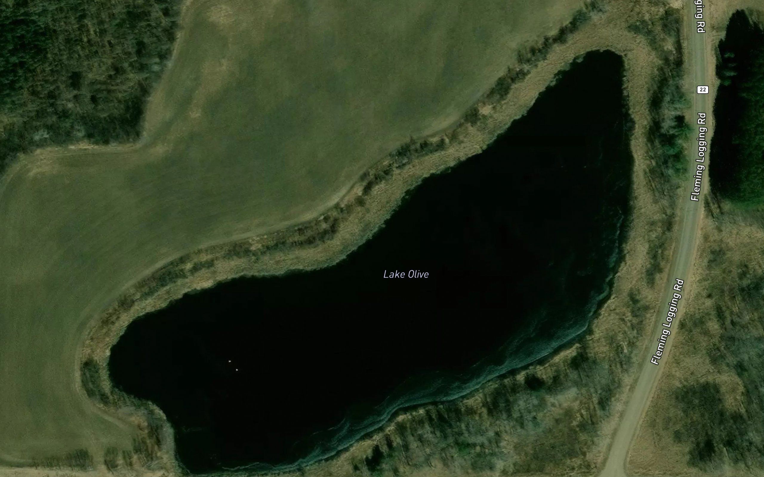 Lake Olive