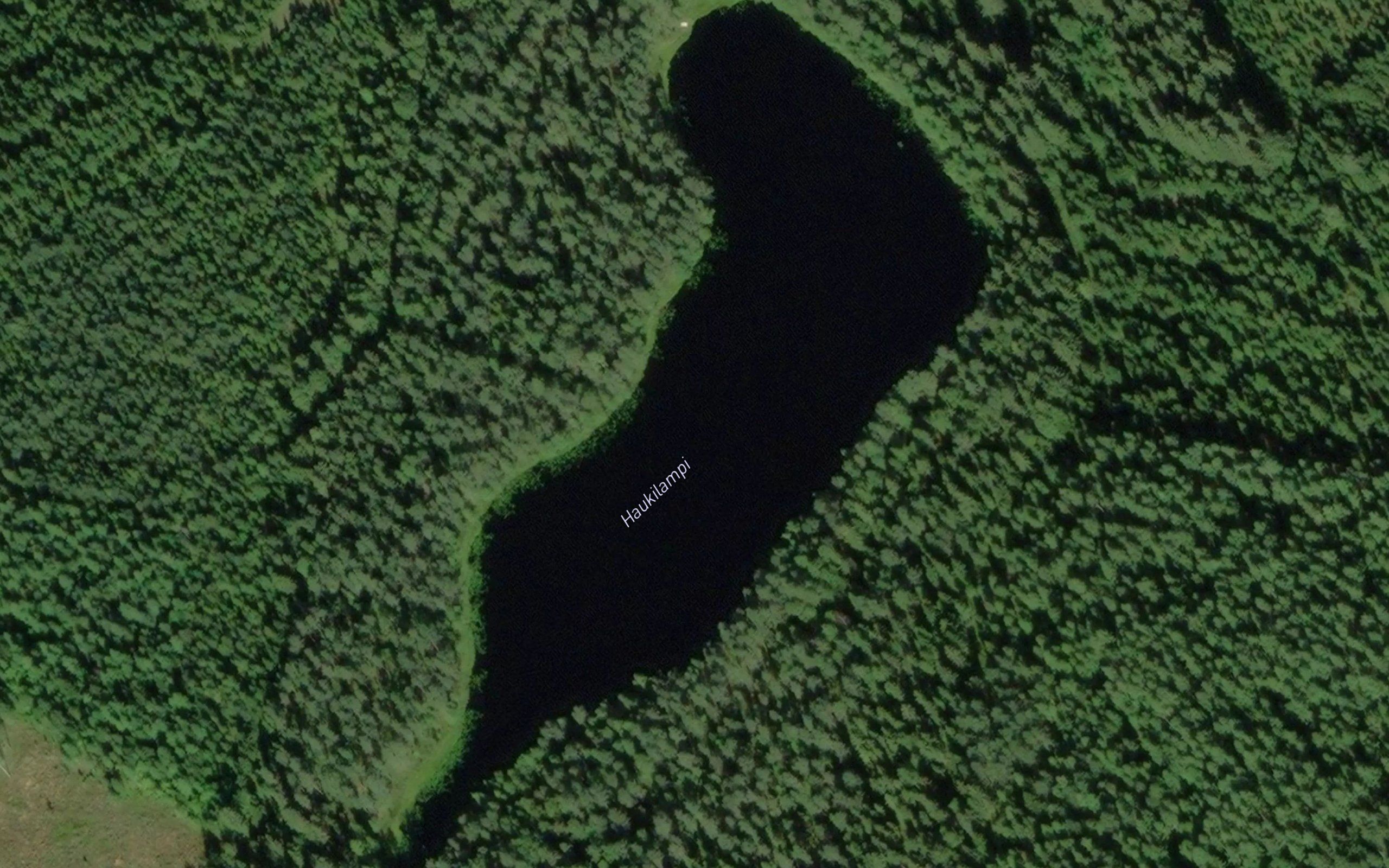Haukilampi