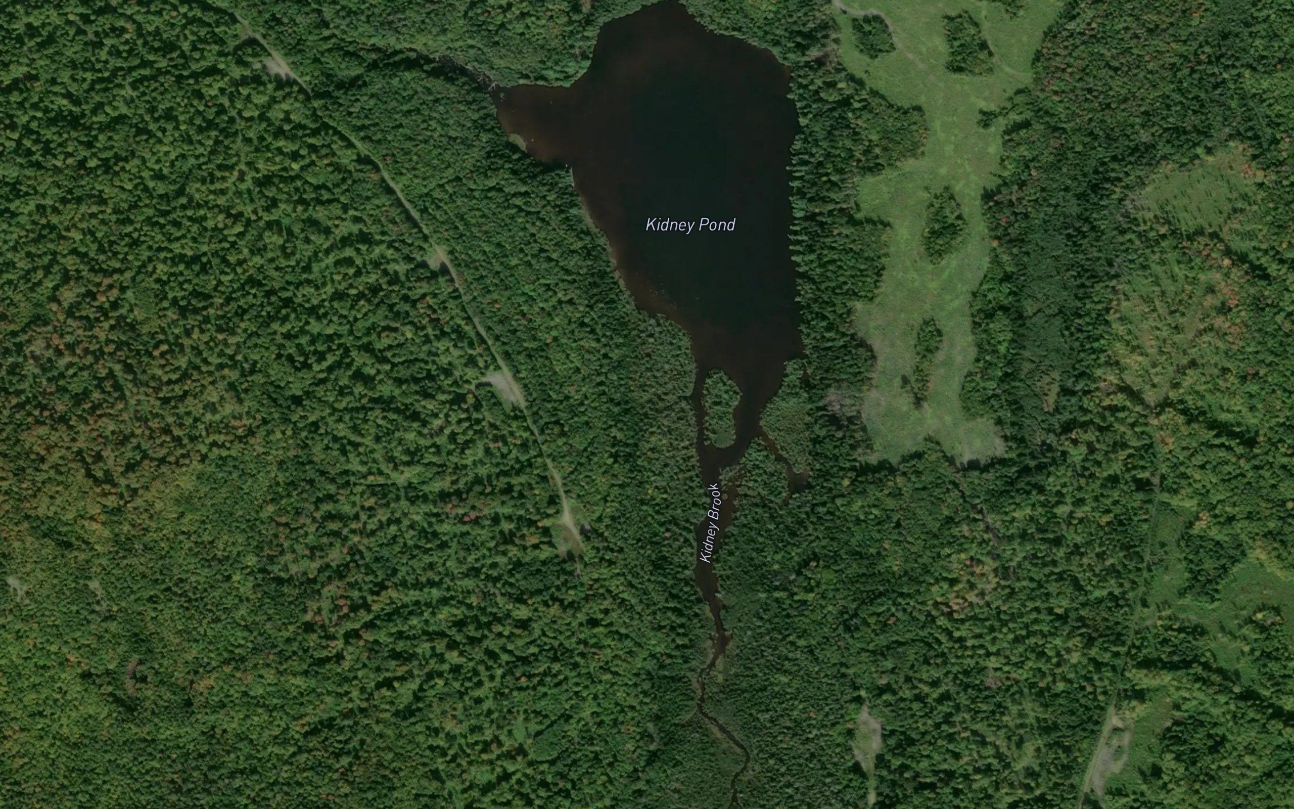 Kidney Pond