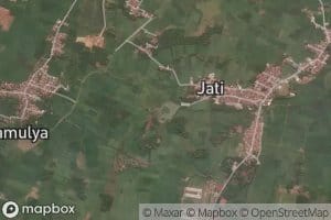 Situ Jati