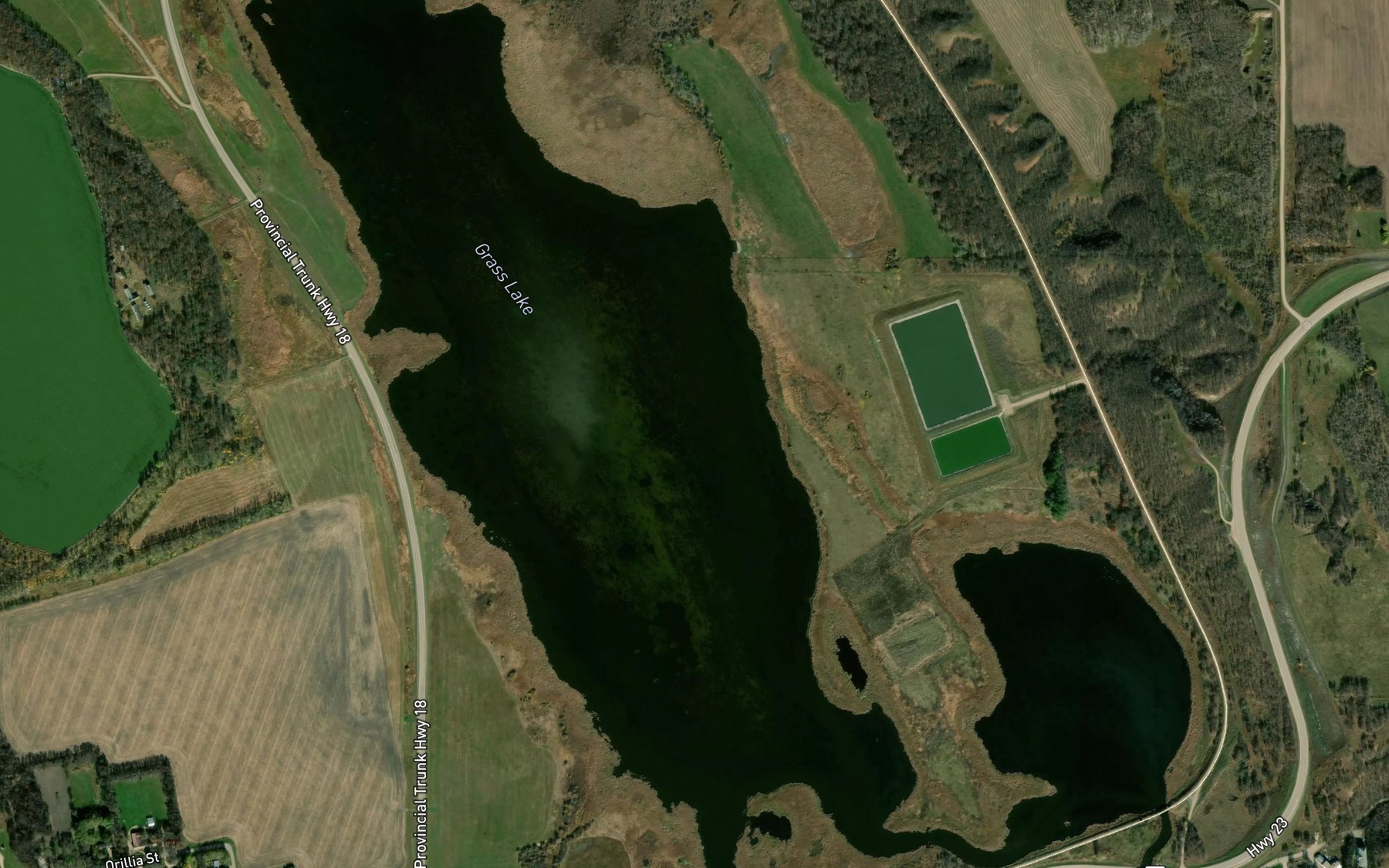 Satellite map of the Grass Lake