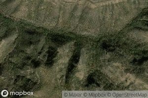 Black Alder Spring