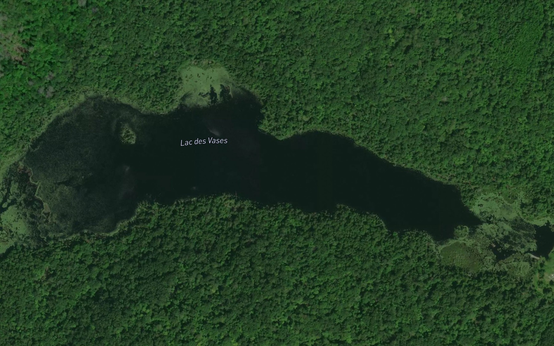 Satellite map of the Lac des Vases