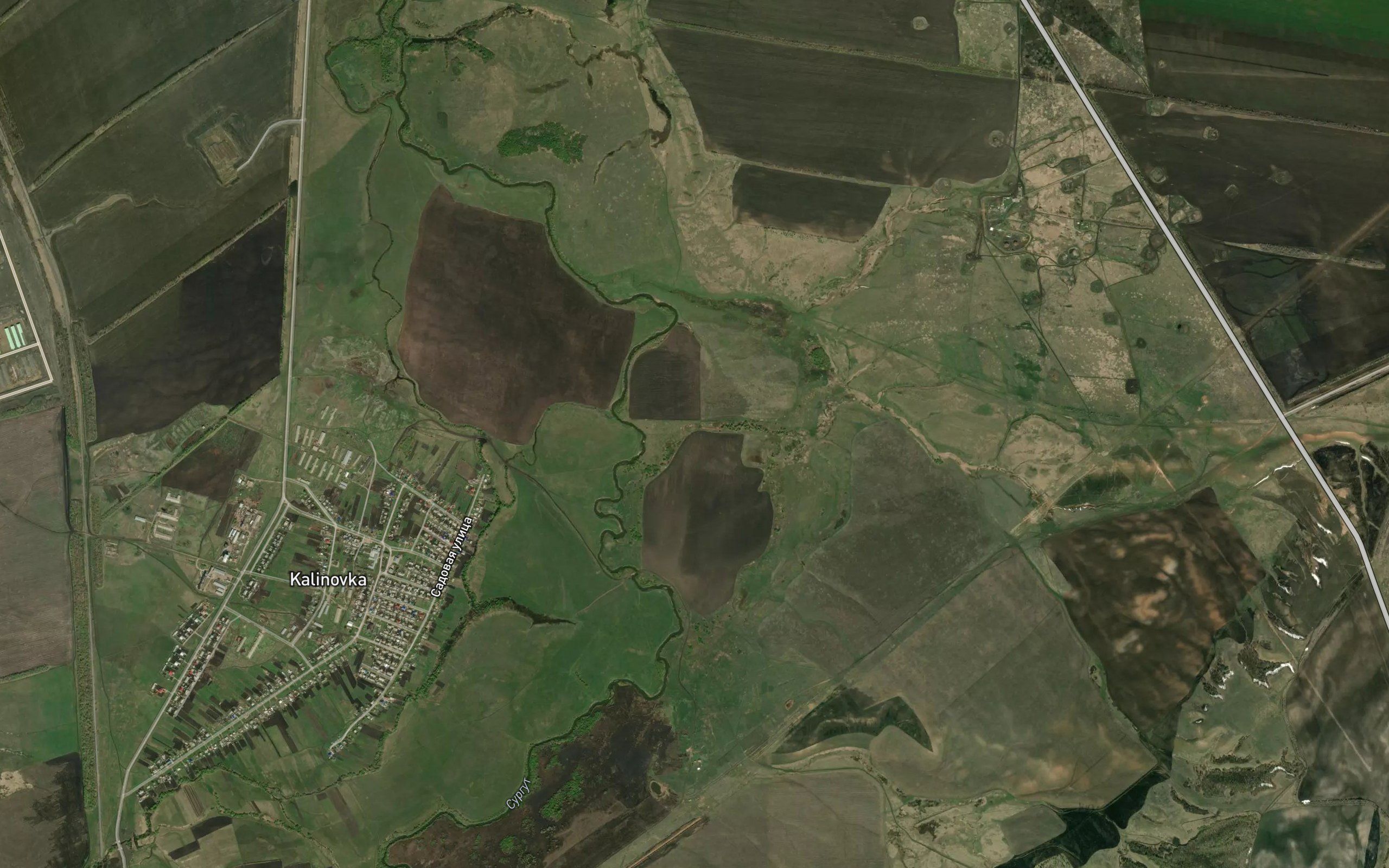 Chesnokovka