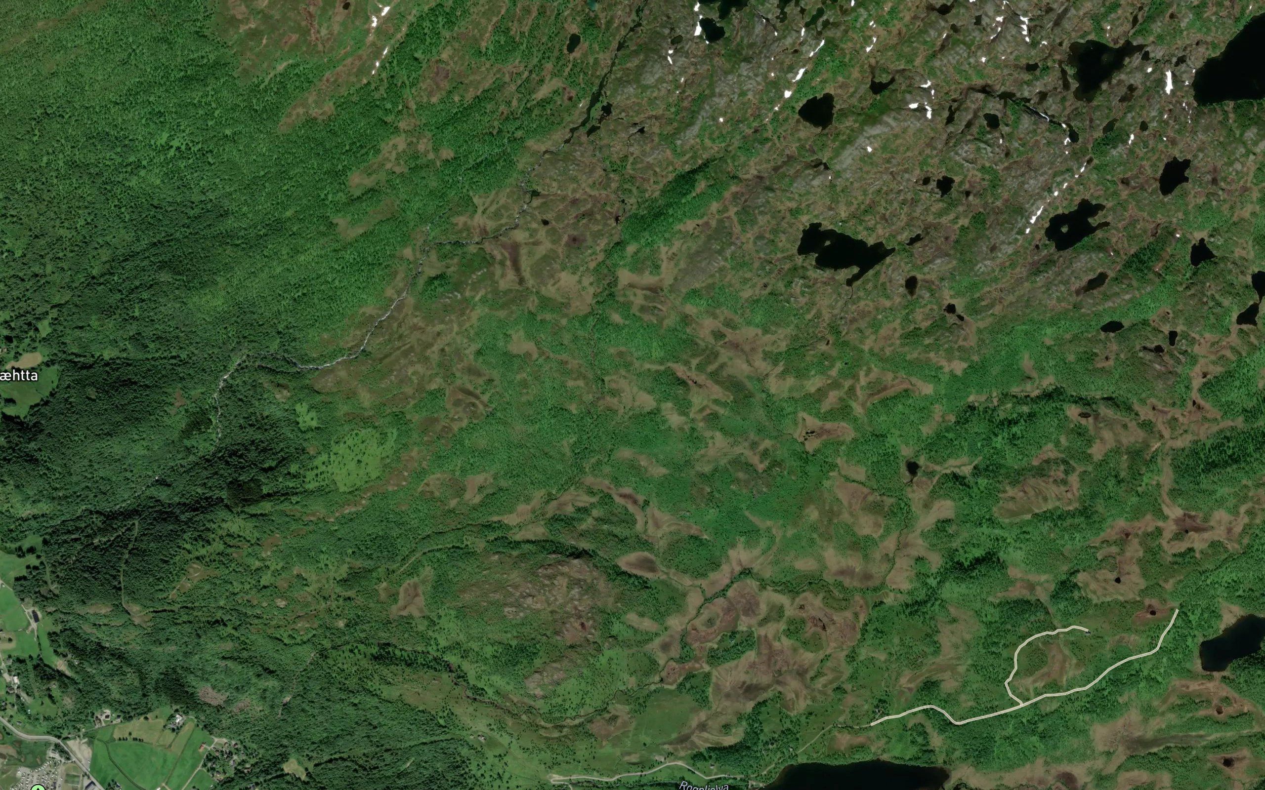 Storkjelda