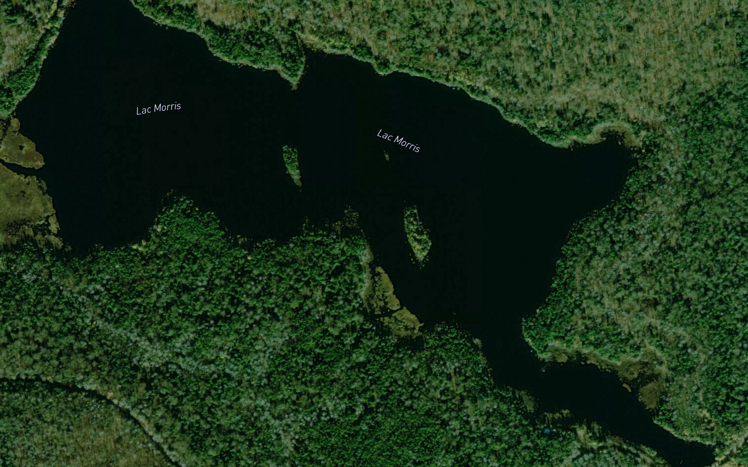 Lac Morris