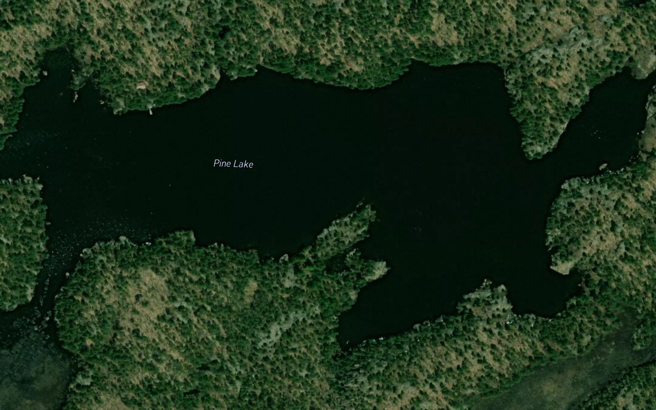 Pine Lake