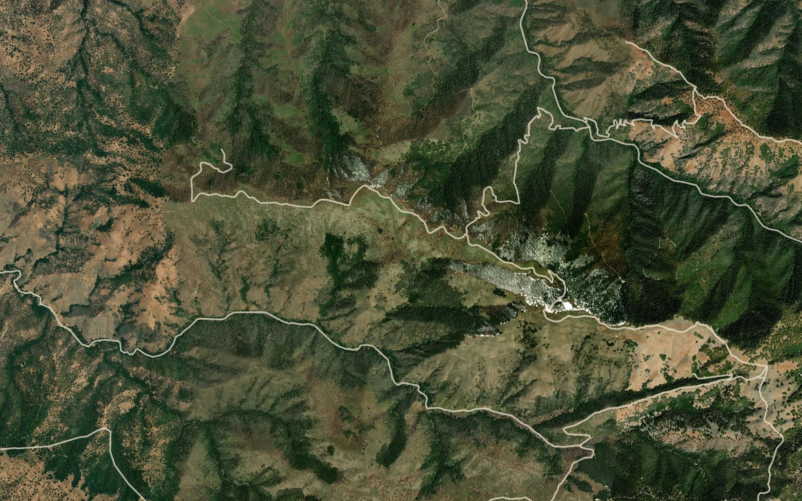 Lower Cow Chip Spring