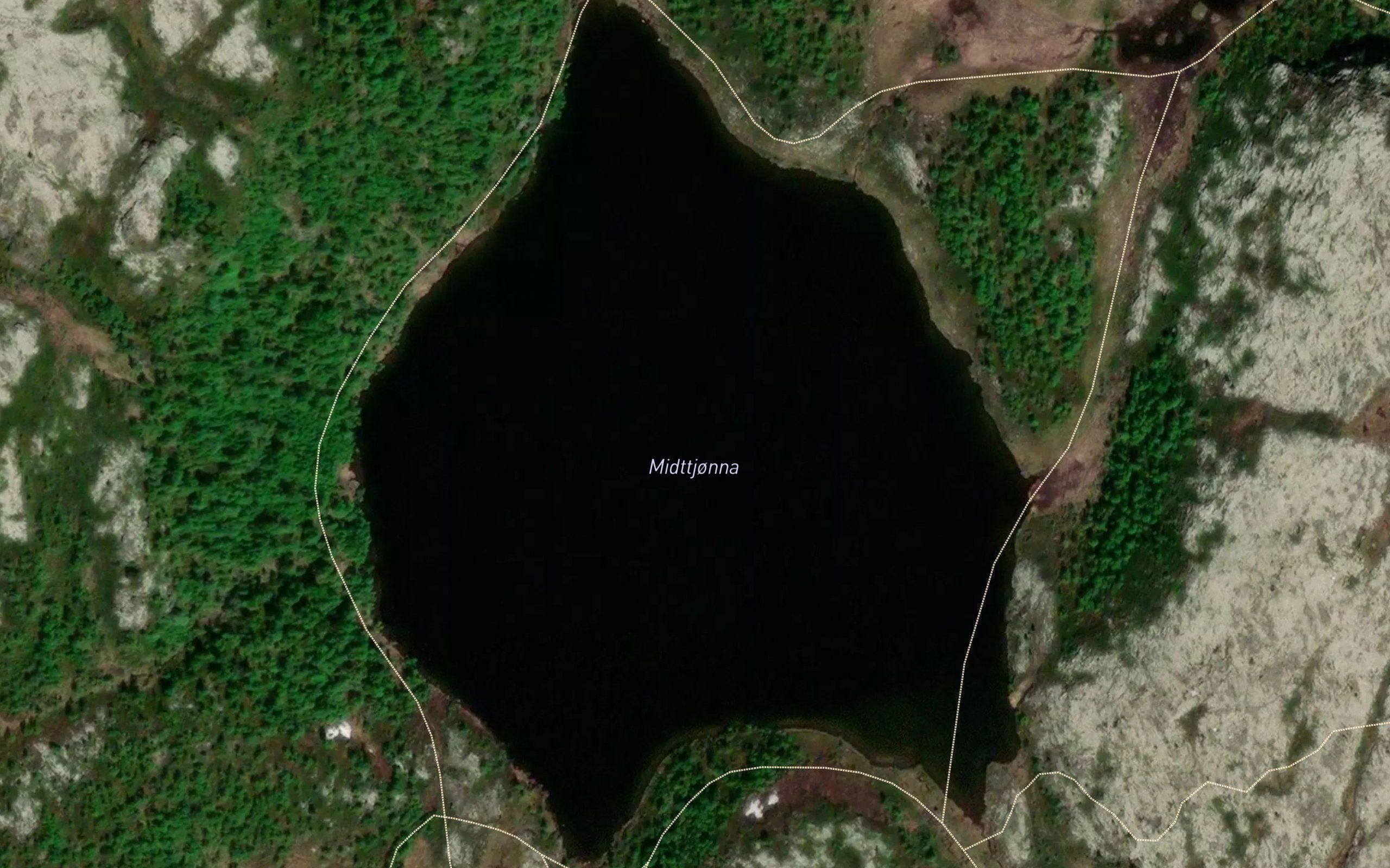 Midttjorna