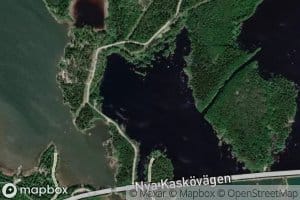 Boviken