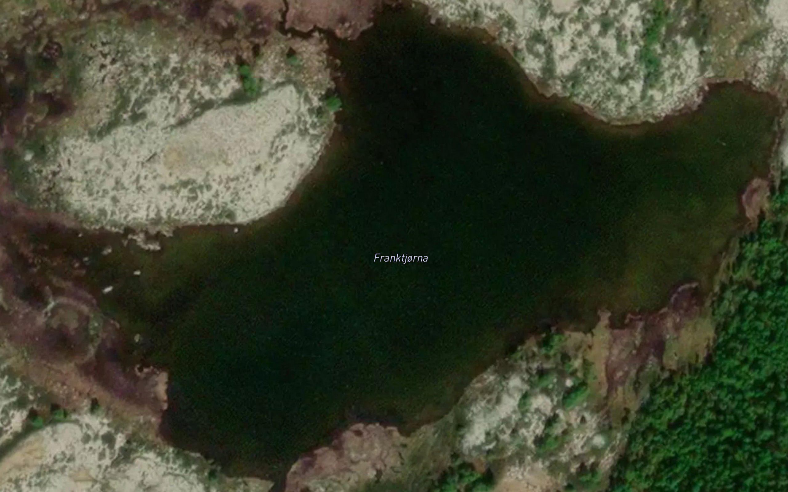 Franktjorna