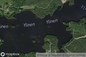 Ylinen