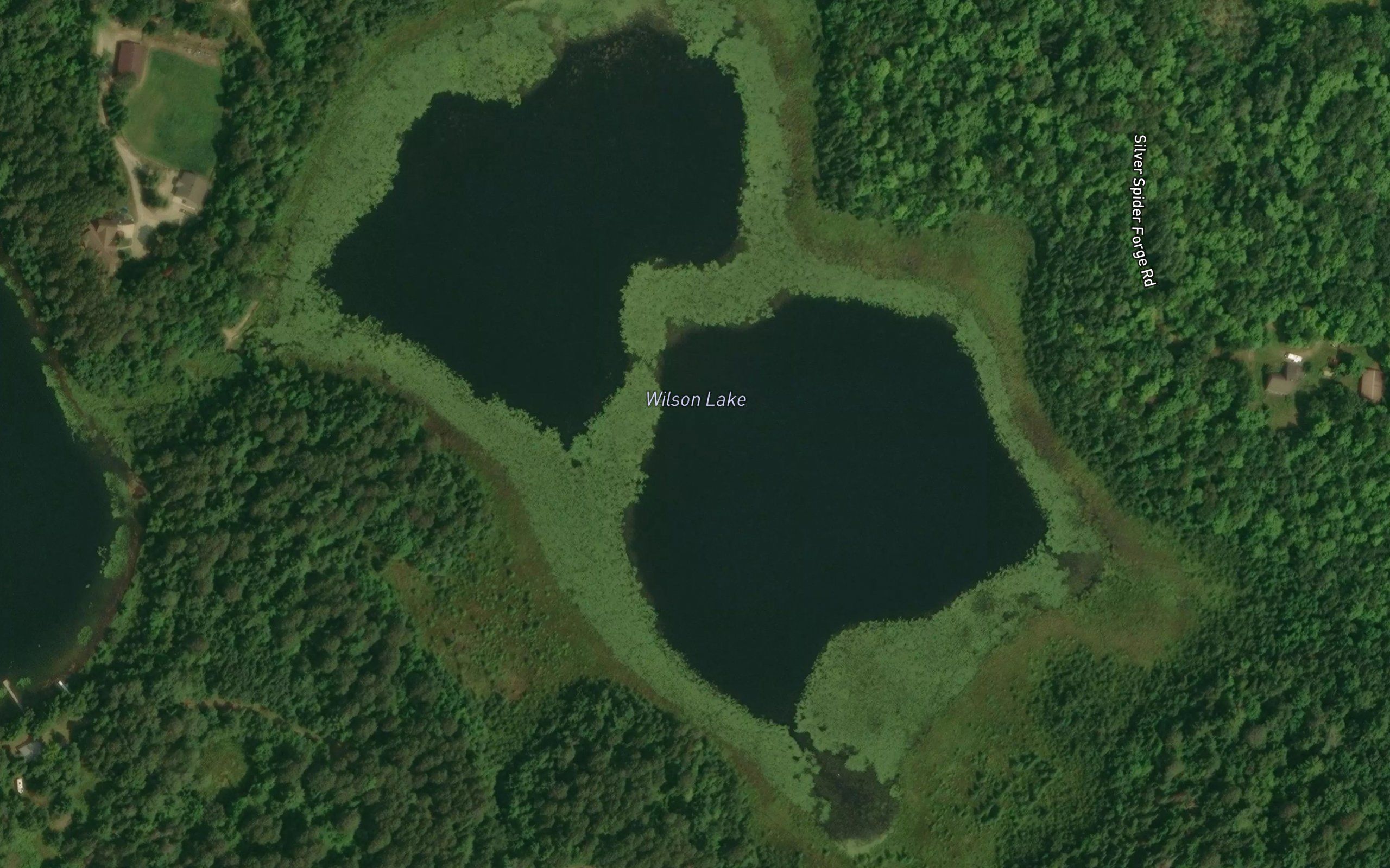 Wilson Lake