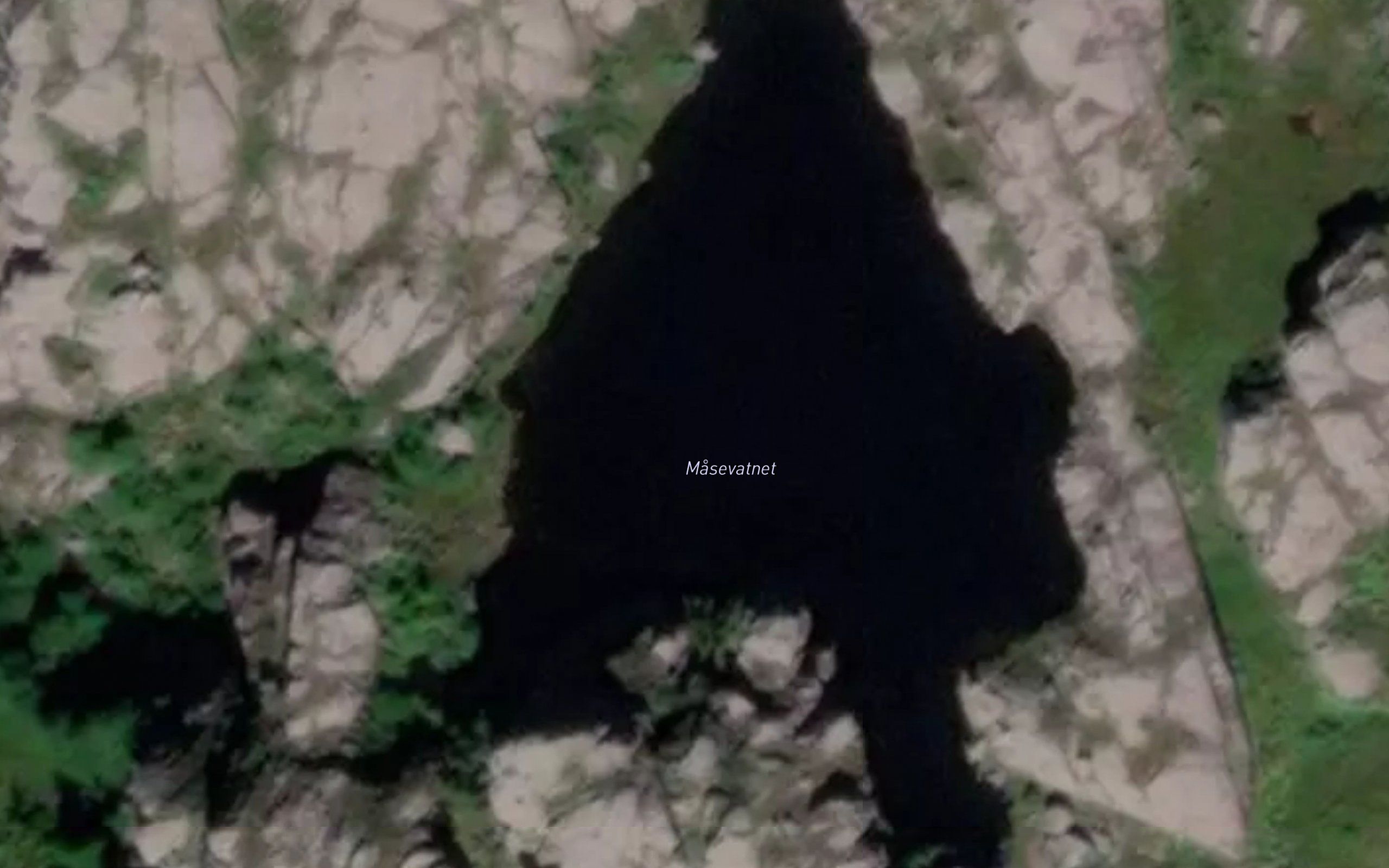 Masevatnet