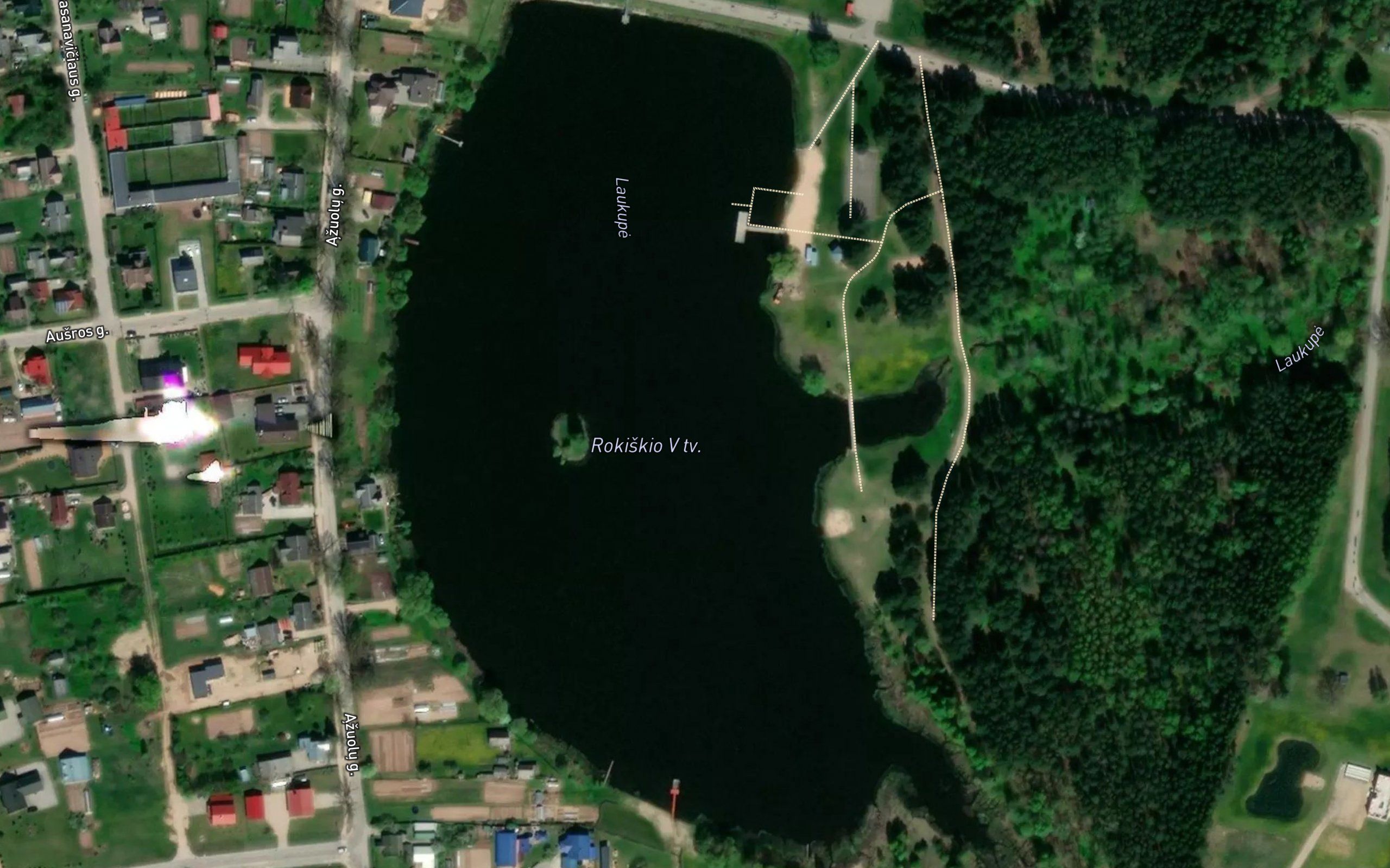 Rokiskio V Tvenkinys