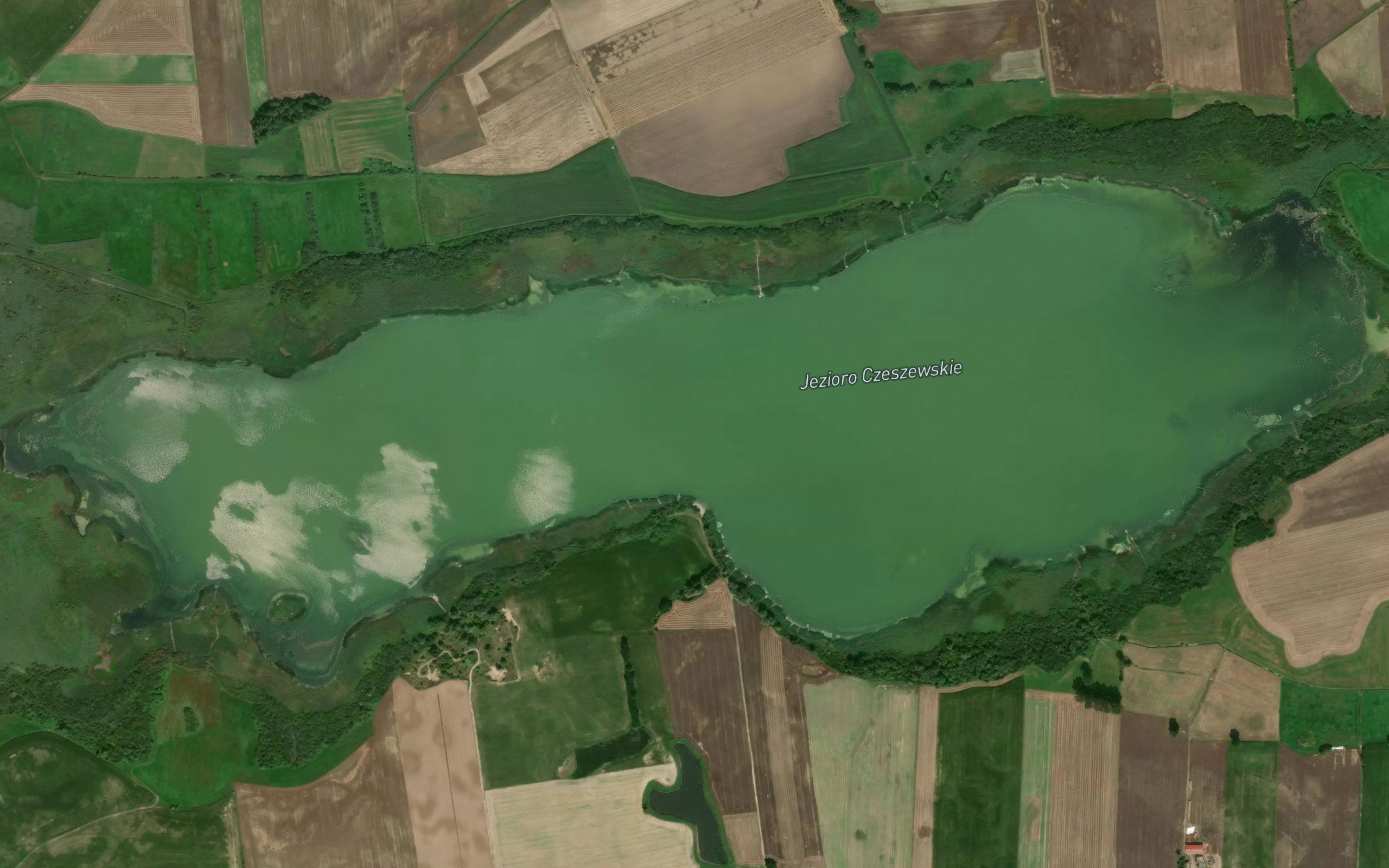 Jezioro Czeszewskie