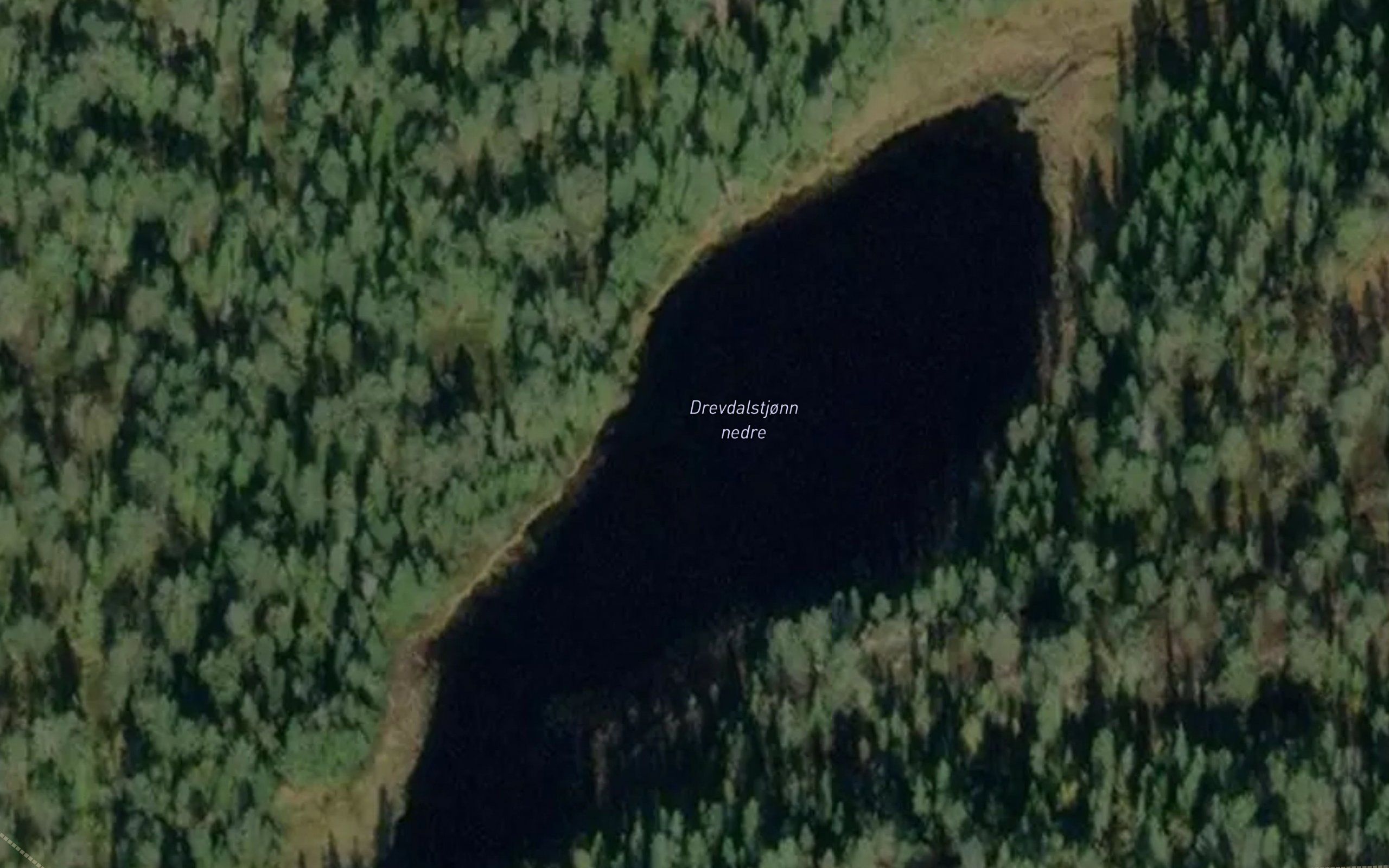 Drevdalstjonn nedre