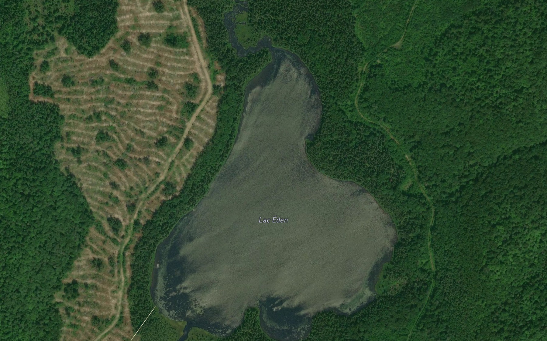 Satellite map of the Lac Eden