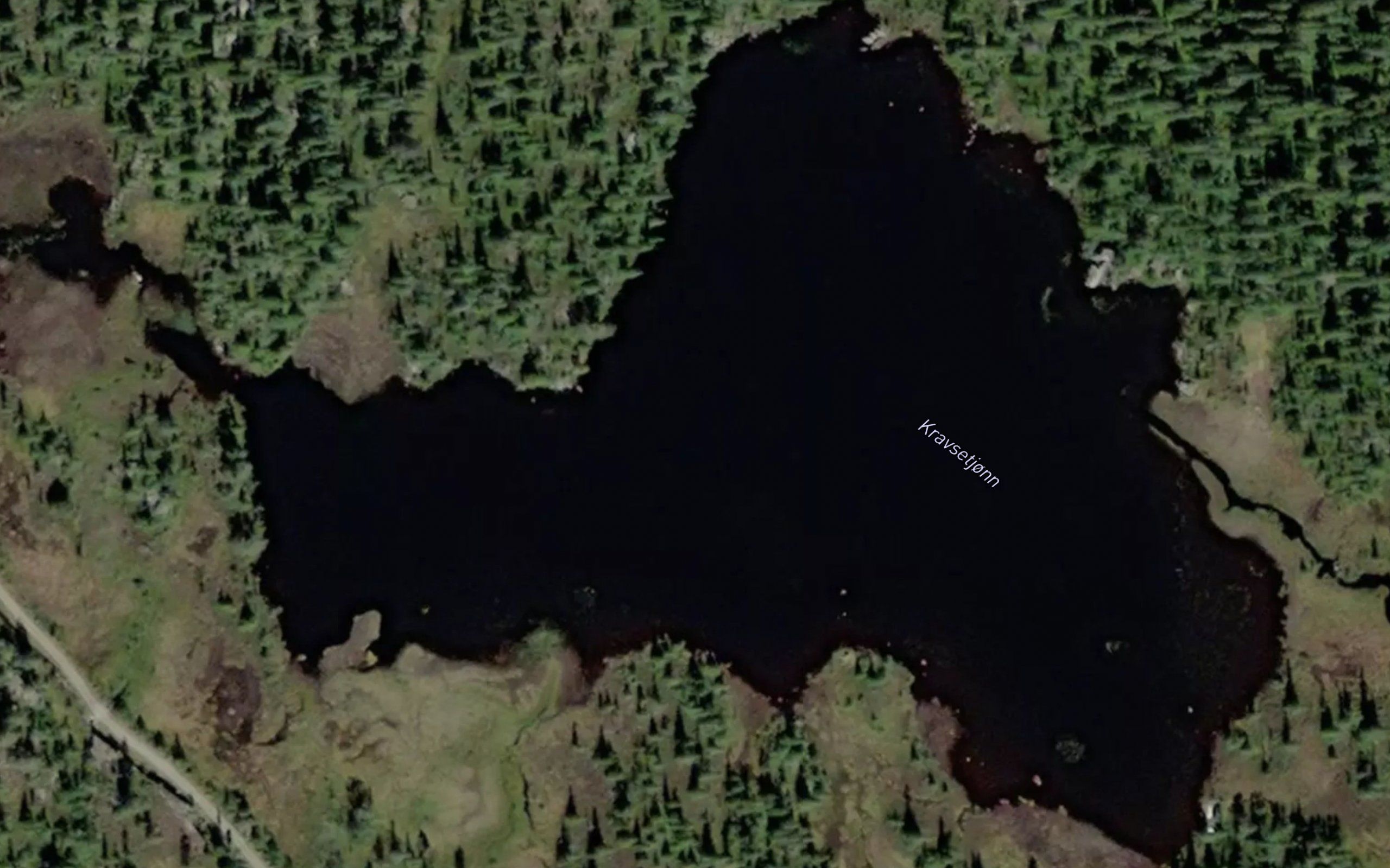 Kravsetjorn