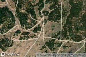 Wild Geese Nest Spring