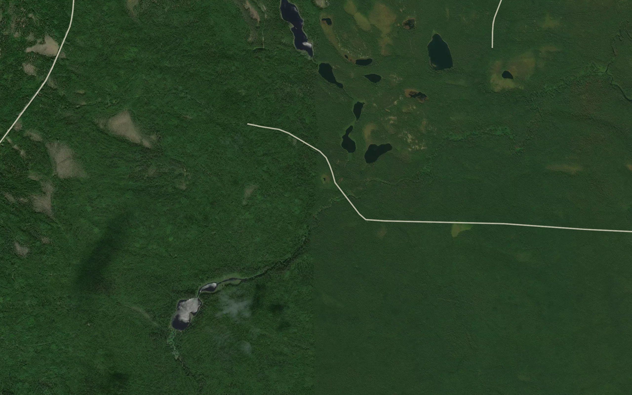 Rystozerka