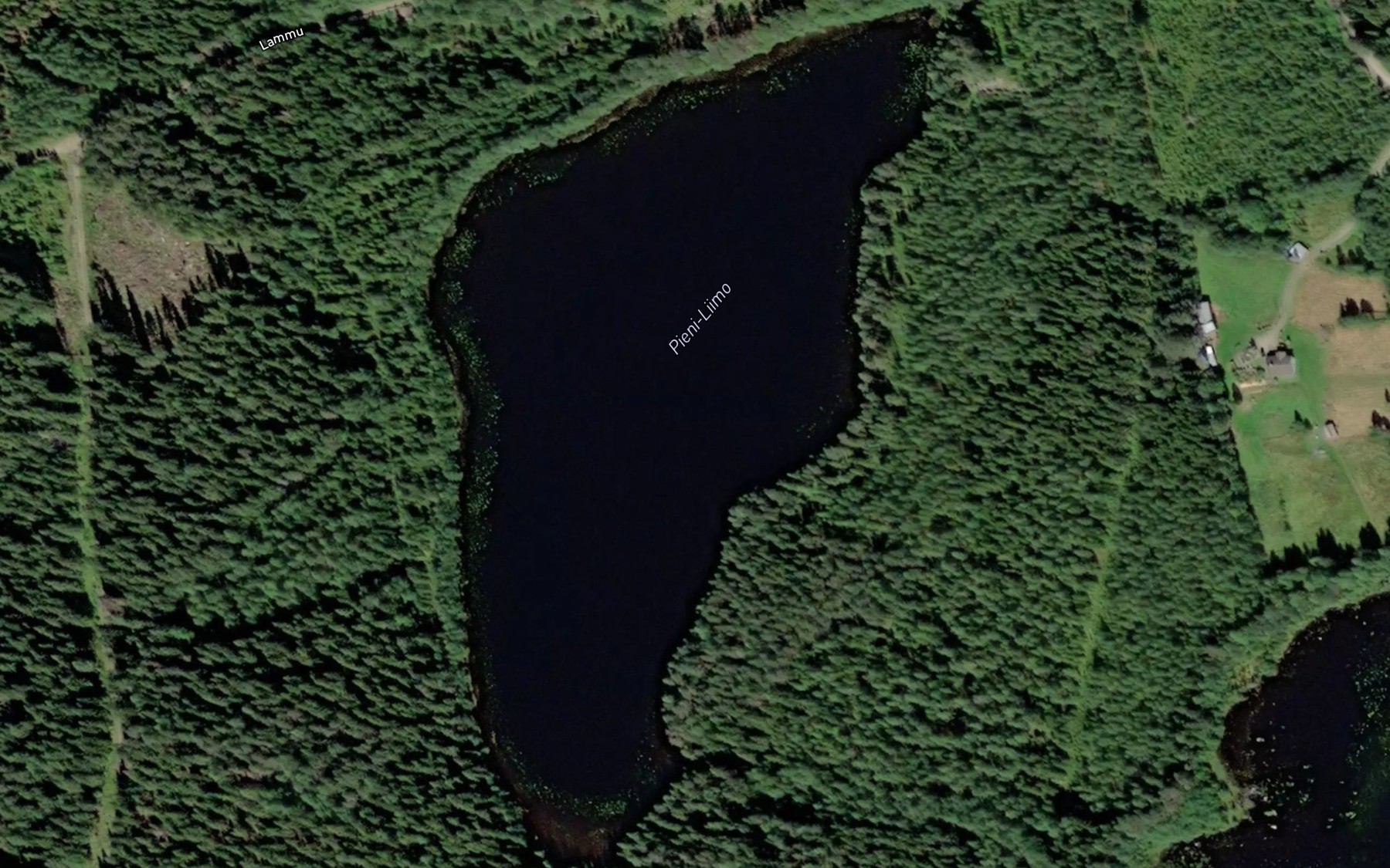 Satellite map of the Pieni-Liimo