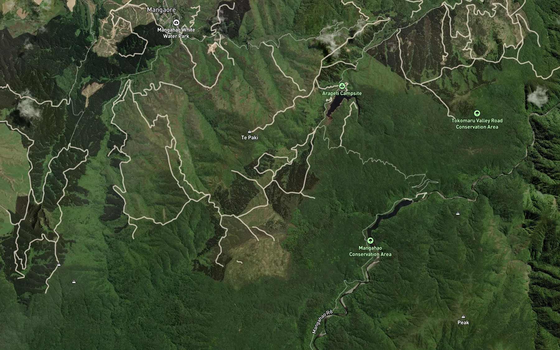 Satellite map of the Arapeti Stream