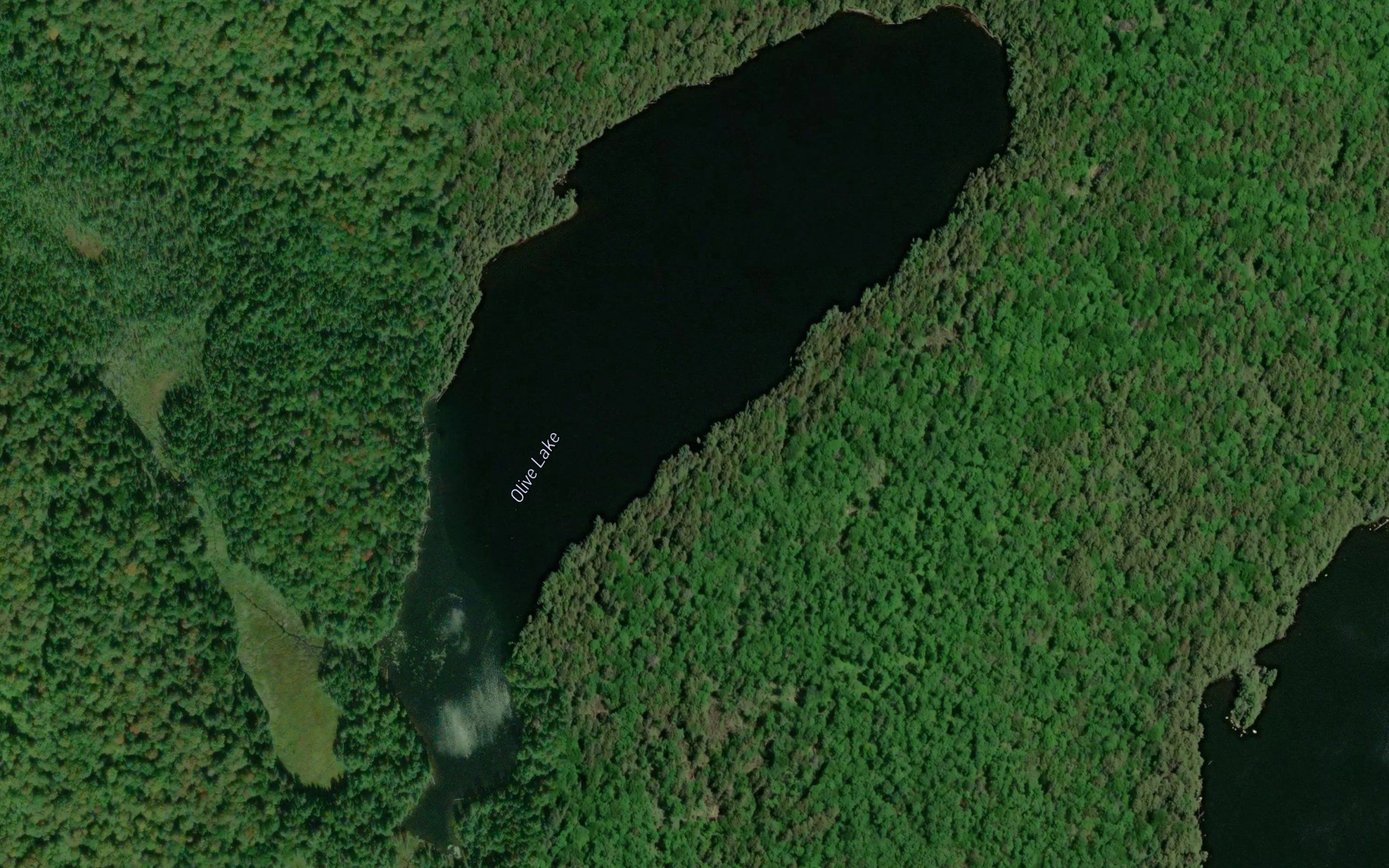 Olive Lake