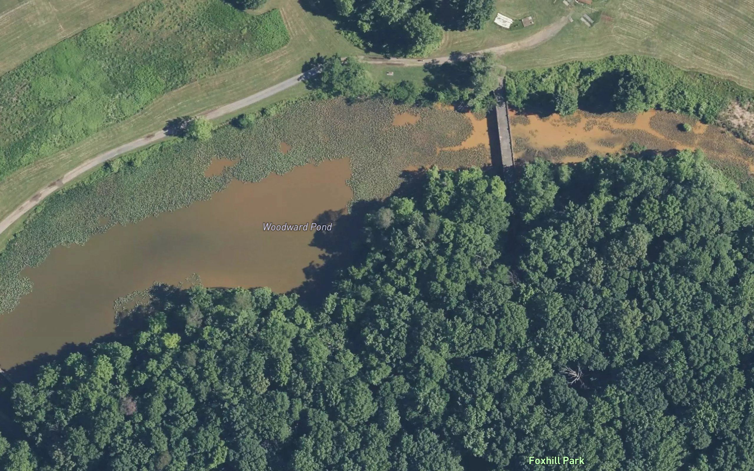 Woodward Pond