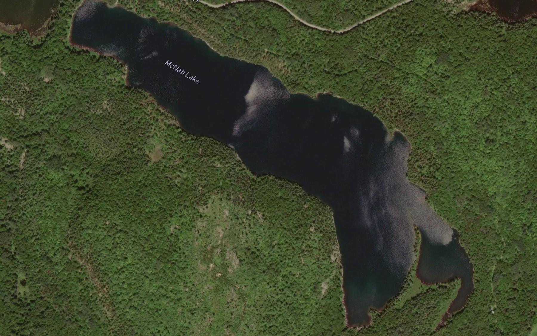Satellite map of the McNab Lake